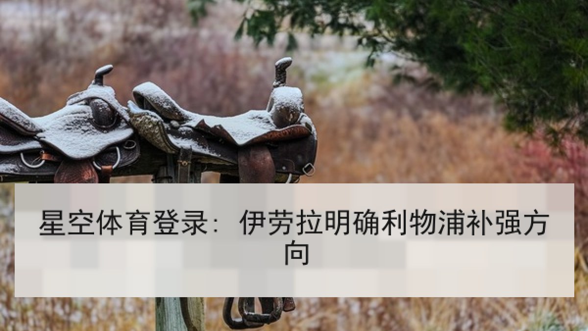 星空体育登录: 伊劳拉明确利物浦补强方向